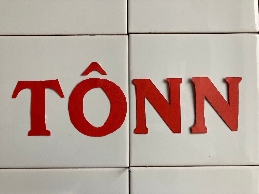 Écharpe TÔNN