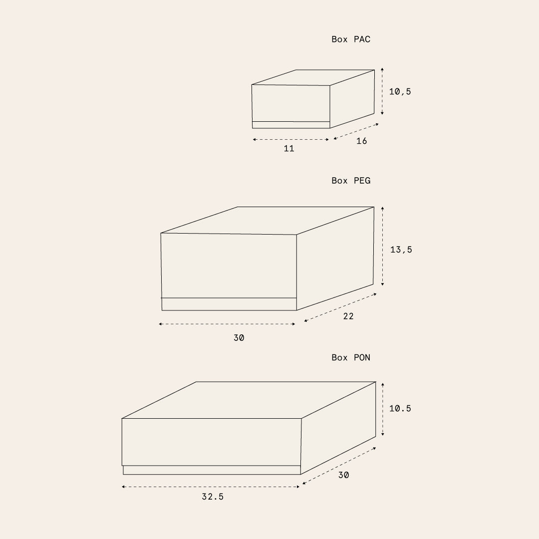 Lot de 2 boîtes de rangement Peg