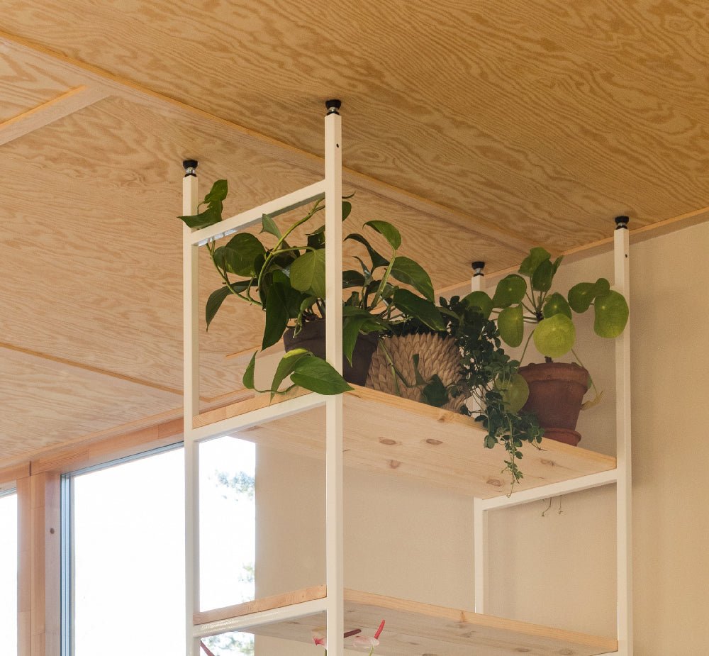 Support de plafond pour montant d'étagères
